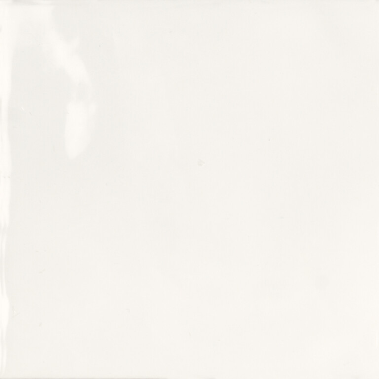 Fluid Series: Camelia Bianco