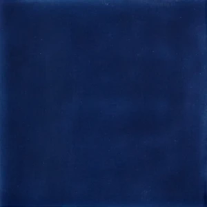 SensiColore Series: Bluenotte