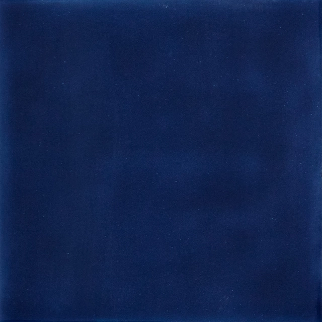 SensiColore Series: Bluenotte