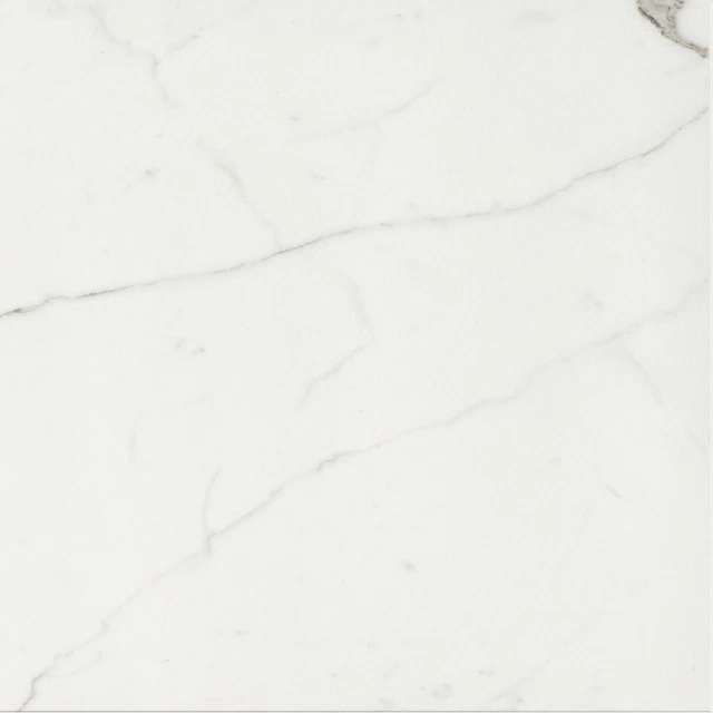 Timeless Series: Calacatta