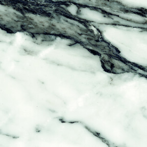 Unique Marble Series: Bianco Siena